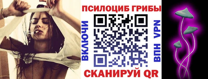 купить наркоту  KRAKEN ONION  Галлюциногенные грибы мицелий  Нерехта 
